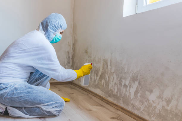 Hvac And Air Duct Mold Remediation inspection of HVAC system in Stoneham